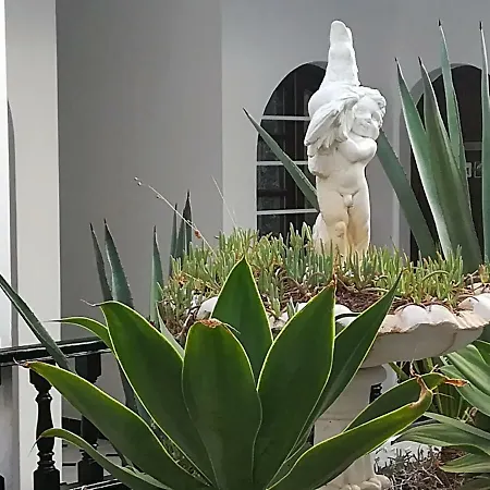 Casita Blanca アパート